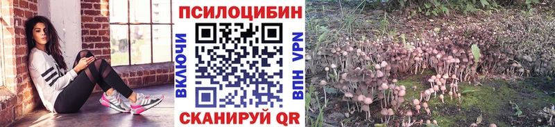 Галлюциногенные грибы Magic Shrooms  Ядрин 